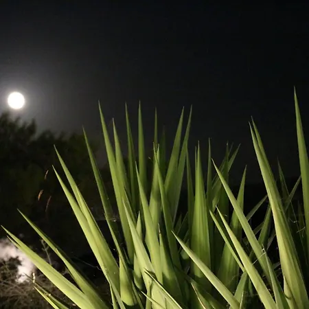 Gostinjska kuća Hvar